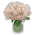 Kytice růží